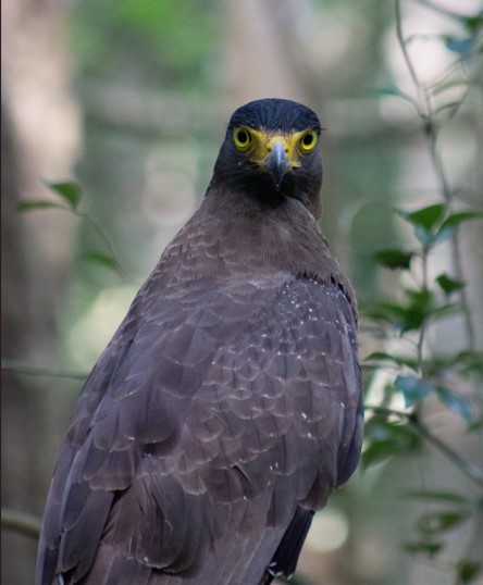 Wilpattu National Park