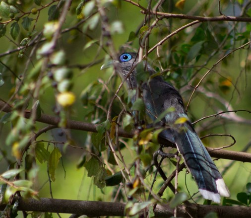 Wilpattu National Park